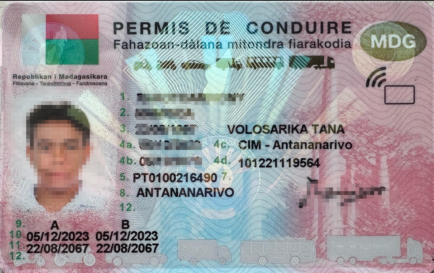马达加斯加驾照