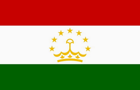 塔吉克斯坦驾照翻译盖章服务-车管所认可的翻译公司