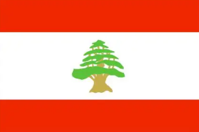 黎巴嫩驾照翻译盖章服务-车管所认可的翻译公司