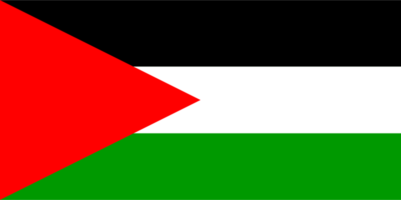 巴勒斯坦驾照翻译盖章服务-车管所认可的翻译公司