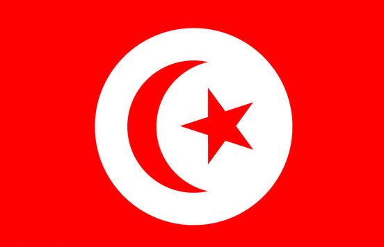 突尼斯驾照翻译盖章服务-车管所认可的权威翻译机构