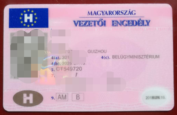 匈牙利驾照翻译盖章服务-车管所认可的权威翻译机构