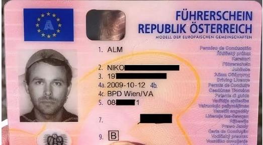 奥地利驾照翻译盖章服务-车管所认可的权威翻译机构