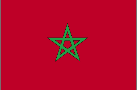 摩洛哥驾照翻译盖章服务-车管所认可的权威翻译机构