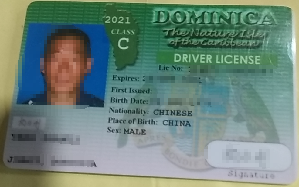 多米尼亚驾照