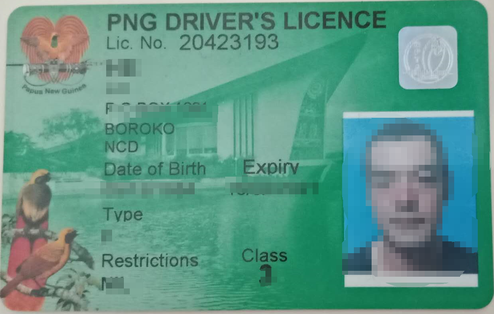 巴布亚新几内亚驾照翻译盖章服务-车管所认可的翻译公司