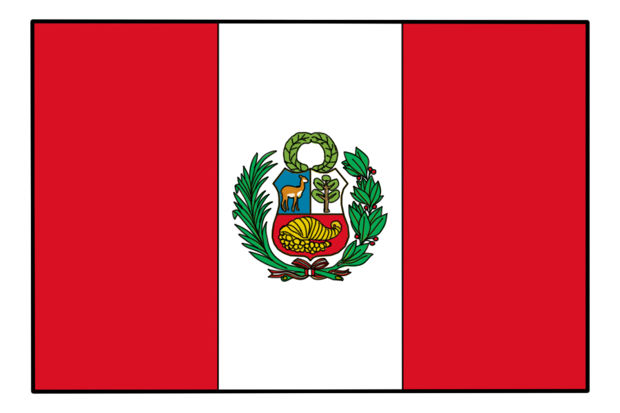 秘鲁驾照翻译盖章服务-车管所认可的翻译公司