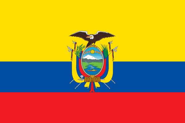 厄瓜多尔驾照翻译盖章服务-车管所认可的翻译公司