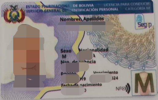 玻利维亚驾照翻译盖章服务-车管所认可的翻译公司