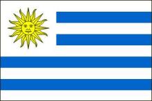 乌拉圭驾照翻译盖章服务-车管所认可的翻译公司