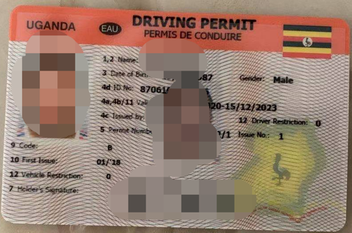 乌干达驾照翻译盖章服务-车管所认可的权威翻译机构