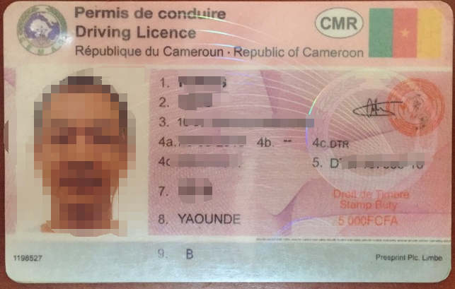 喀麦隆驾照翻译盖章服务-车管所认可的权威翻译机构