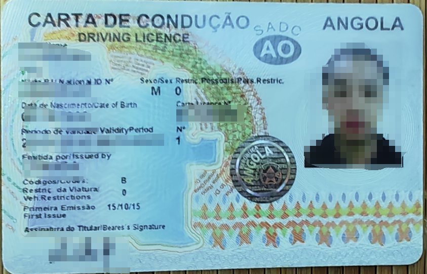 黑河车管所认可的国外驾照翻译盖章服务机构