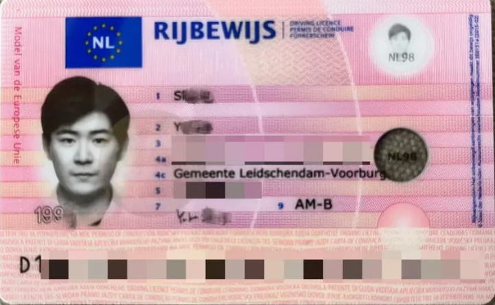 荷兰驾照翻译盖章服务-车管所认可的权威翻译机构