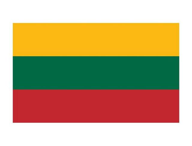 立陶宛驾照翻译盖章服务-车管所认可的权威翻译机构